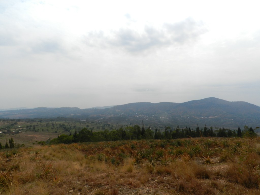 “You’re going to&nbsp;Africa.”